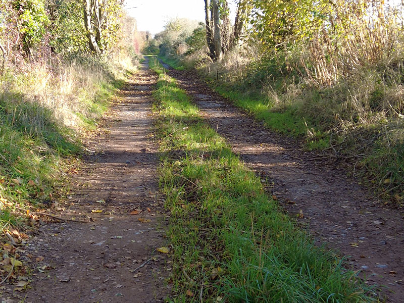 Protect Britain’s Railway Corridors Before It’s Too Late