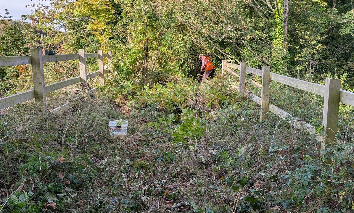 Churston Village Bridge overgrown in 2026